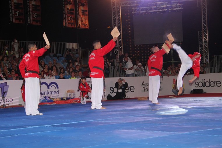 Martial Arts Festival